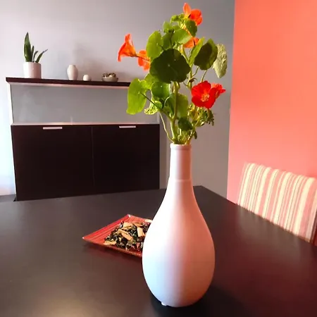 Holibai, Angelitiña, Apto Luminoso, Cerca Del Centro Y La Playa, *