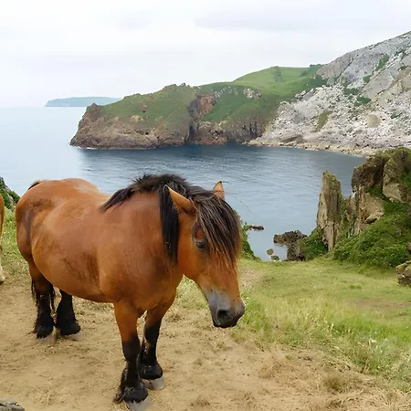Appartamento Holibai, Angelitina, Apto Ideal A Minutos Del Mar Y Del Casco Historico, *