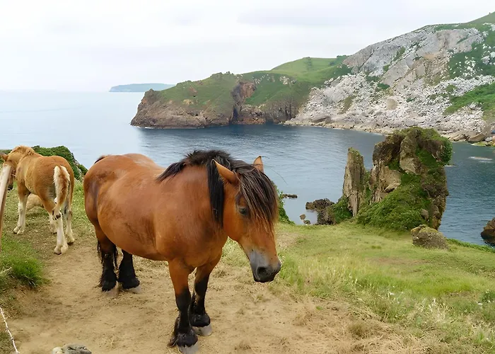Appartamento Holibai, Angelitina, Apto Ideal A Minutos Del Mar Y Del Casco Historico, *